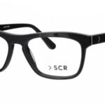 SCR 1702C1