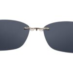 Polar Vision PS 10012 A