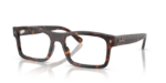 Ray Ban 0RX5435 2012 56 (L)
