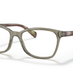 Ray Ban 0RX5362 8178 52 (M)