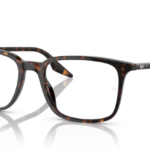 Ray Ban 0RX5421 2012 53 (L)