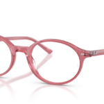 Ray Ban 0RX5429 8440 53 (M)