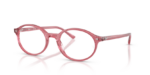Ray Ban 0RX5429 8440 51 (S)