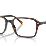 Ray Ban 0RX5431 2012 56 (L)