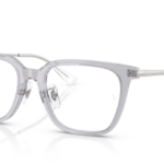 Ray Ban 0RX5442D 8415 52 (L)