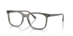 Ray Ban 0RX5446 8453 51 (XS)