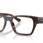 Ray Ban 0RX5448 2012 53 (L)
