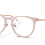 Ray Ban 0RX5453D 8438 52 (XL)