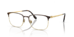 Ray Ban 0RX6494 2945 54 (L)