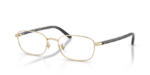 Ray Ban 0RX6551D 2993 53 (S)