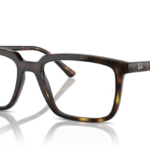 Ray Ban 0RX7239 2012 52 (S)