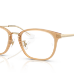 Ray Ban 0RX7247D 8473 51 (L)