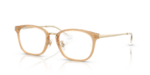 Ray Ban 0RX7247D 8473 51 (L)