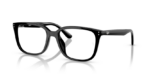 Ray Ban 0RX7248D 2000 55(M)