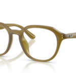 Ray Ban 0RX7259D 8437 52 (L)
