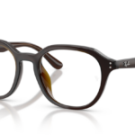 Ray Ban 0RX7259D 8502 52 (L)