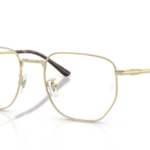 Ray Ban 0RX8776D 1251 53 (L)