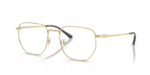 Ray Ban 0RX8776D 1251 53 (L)