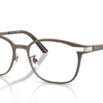 Ray Ban 0RX8780D 1020 53 (L)