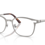 Ray Ban 0RX8780D 1047 53 (L)