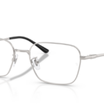 Ray Ban 0RX8784D 1002 54 (L)